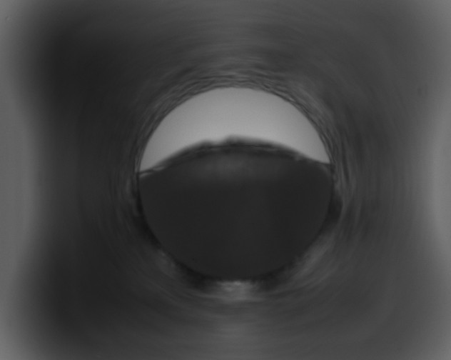 X0000100340233200806191031