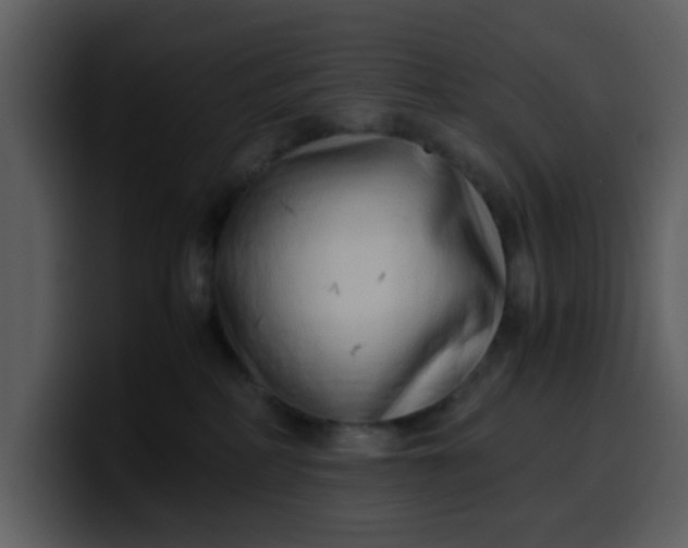 X0000100340234200806191031