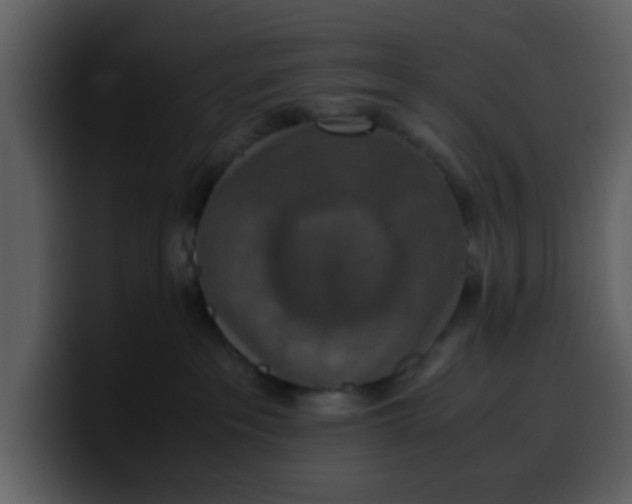 X0000100340237200806191031