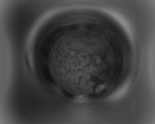 X0000100340239200806191031