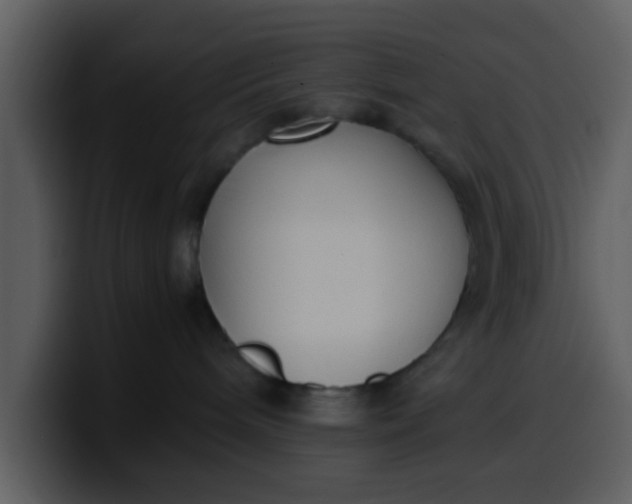 X0000100340240200806191031