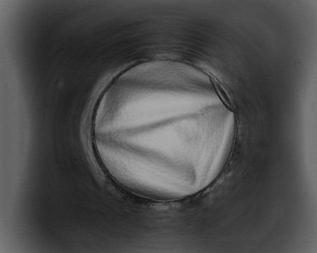 X0000100340241200806191030