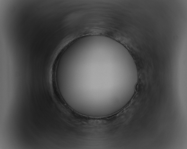 X0000100340242200806191030