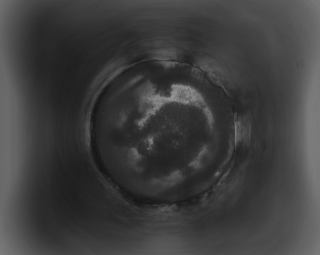 X0000100340243200806191030