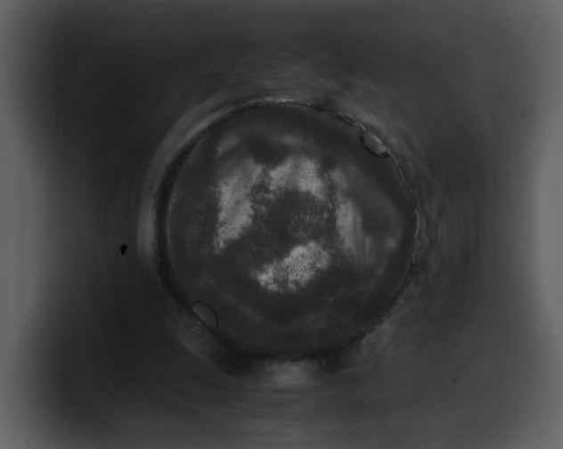 X0000100340247200806191030