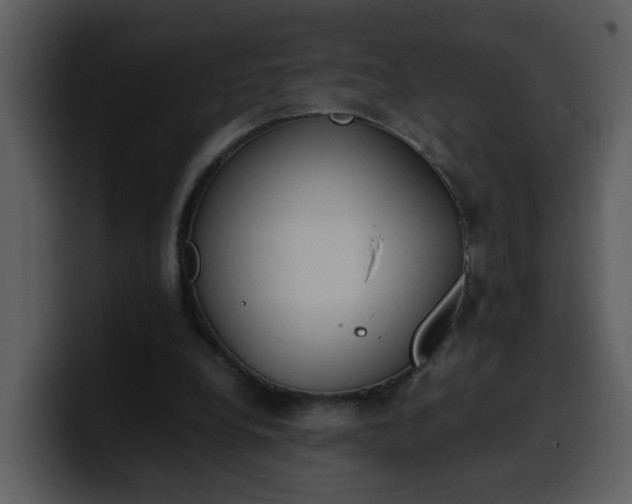 X0000100340248200806191030