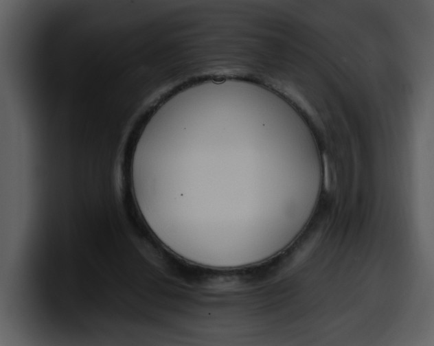 X0000100340252200806191030