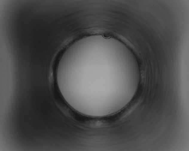 X0000100340254200806191030