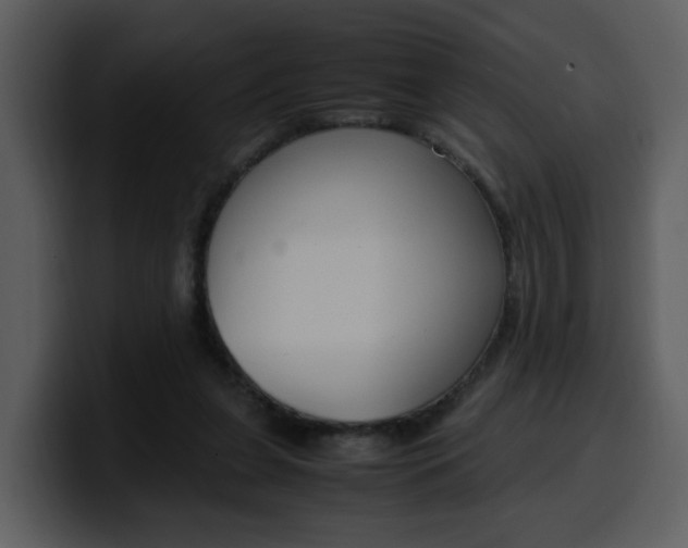 X0000100340255200806191030