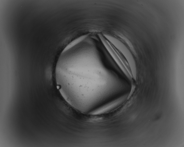 X0000100340257200806191030