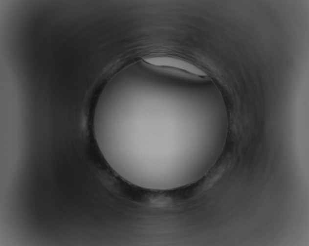 X0000100340258200806191030