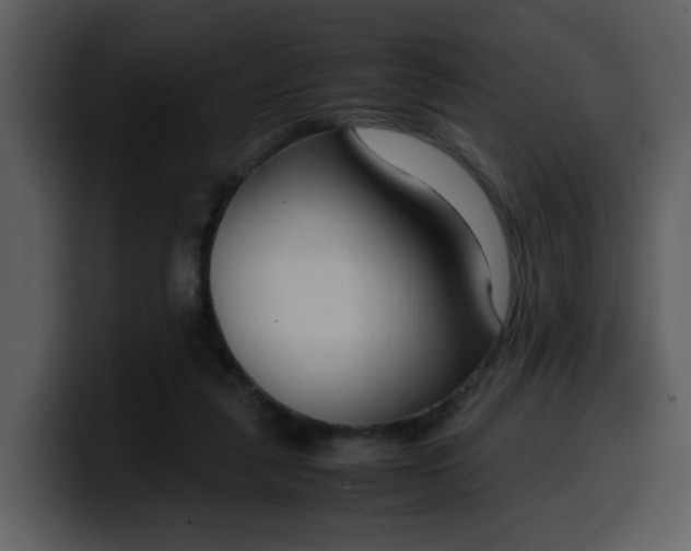 X0000100340259200806191030