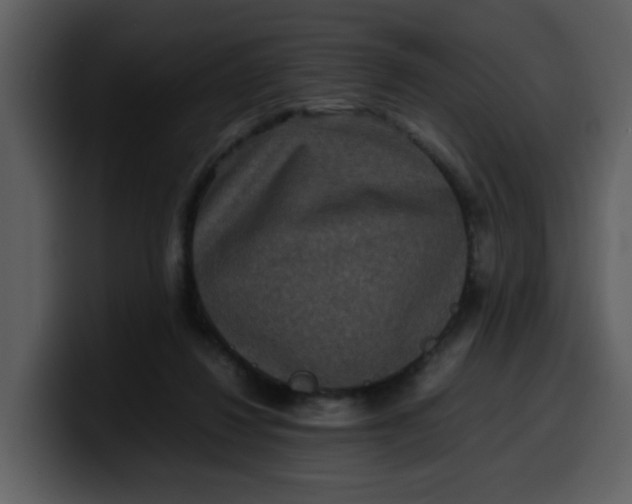 X0000100340260200806191030