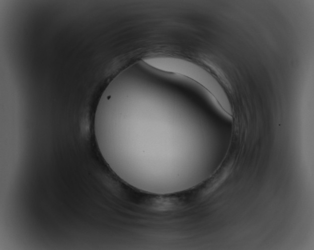 X0000100340261200806191030