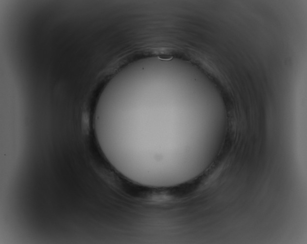 X0000100340262200806191030