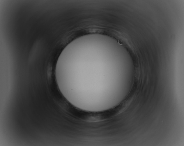 X0000100340263200806191030