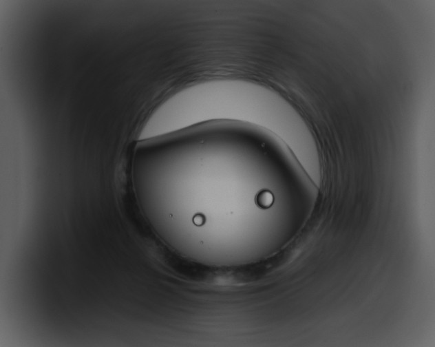 X0000100340264200806191030