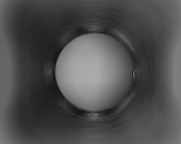 X0000100340265200806191030