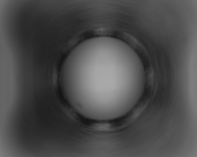 X0000100340266200806191030