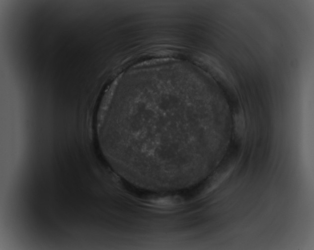 X0000100340267200806191030