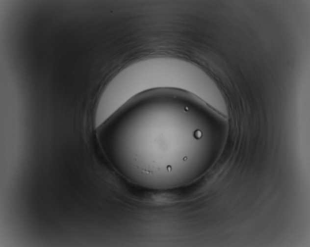 X0000100340268200806191030