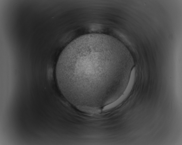 X0000100340269200806191030