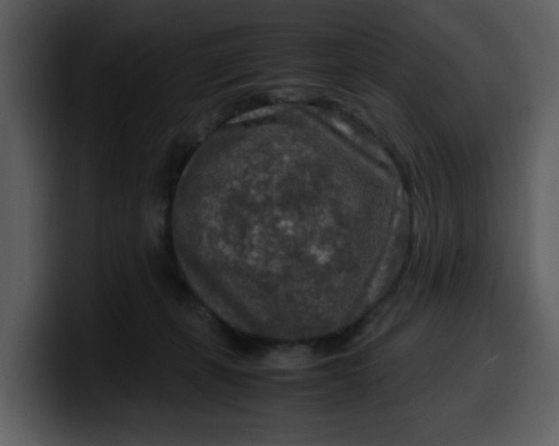 X0000100340271200806191030