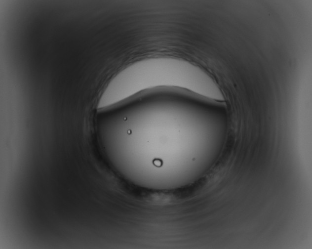 X0000100340272200806191030