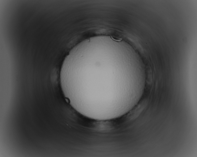 X0000100340273200806191030