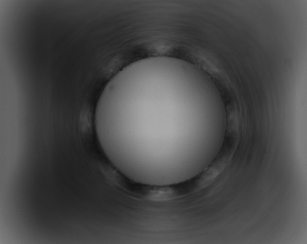 X0000100340274200806191030