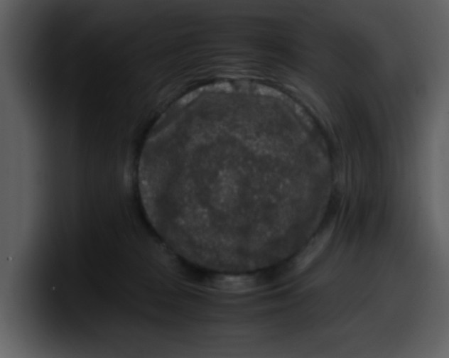 X0000100340277200806191031