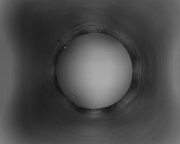 X0000100340278200806191031