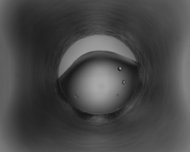 X0000100340280200806191031