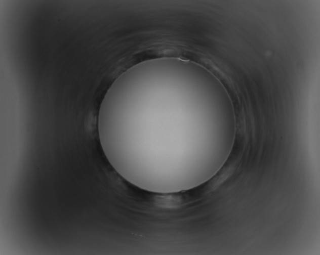 X0000100340281200806191031