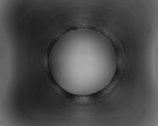 X0000100340282200806191031