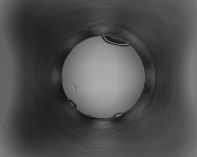 X0000100340284200806191031