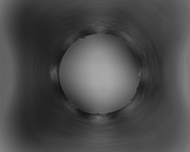 X0000100340286200806191031