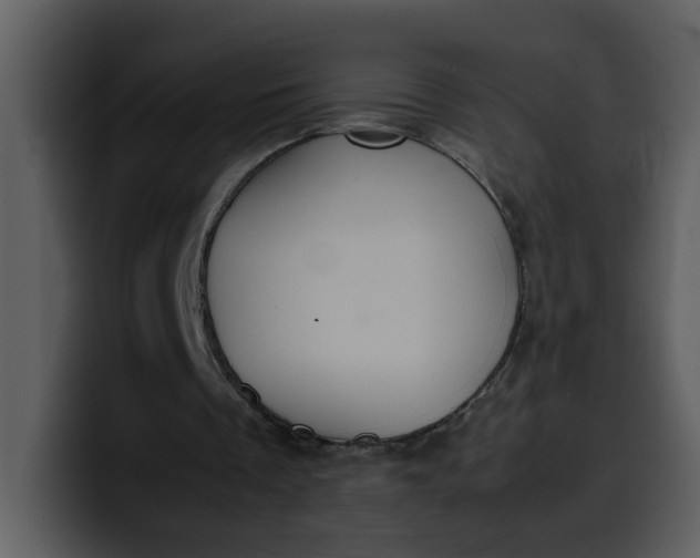 X0000100340289200806191030