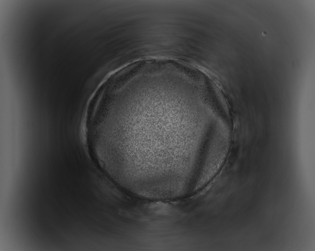 X0000100340290200806191030