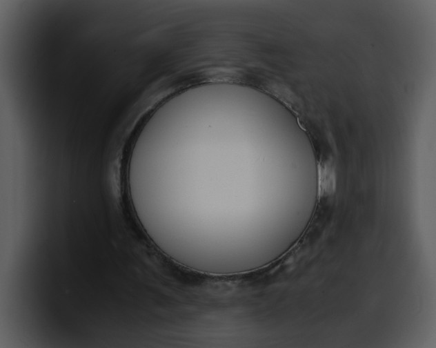 X0000100340291200806191030