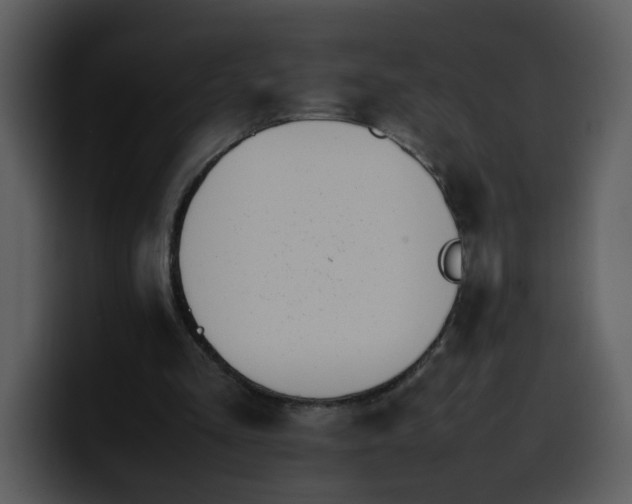 X0000100340293200806191030