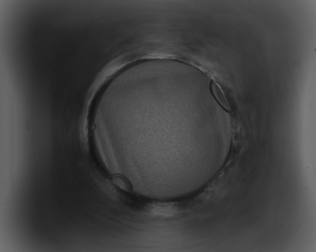 X0000100340296200806191030