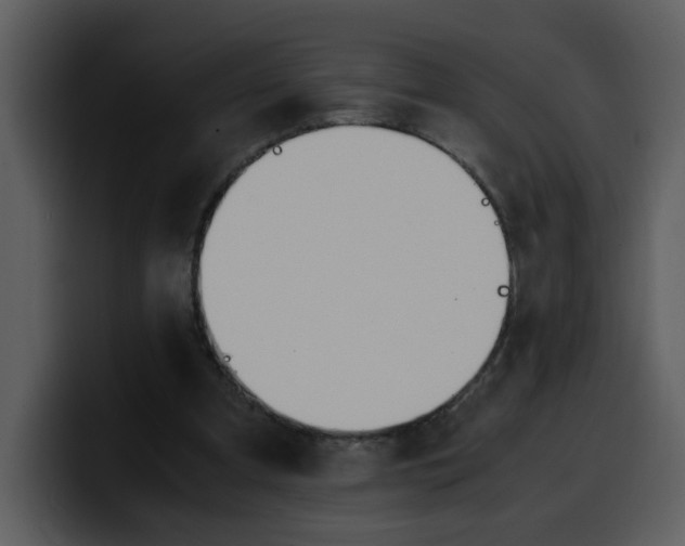 X0000100340297200806191030