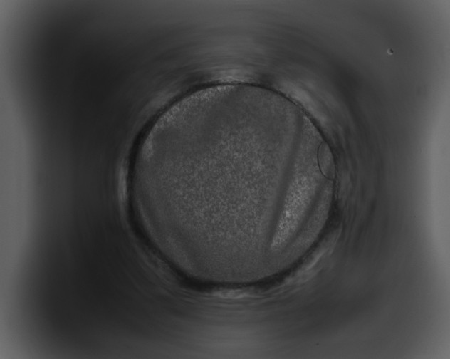 X0000100340299200806191030