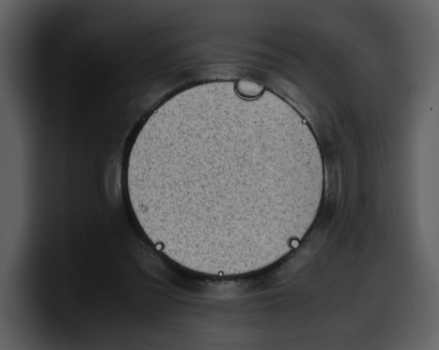 X0000100340301200806191030