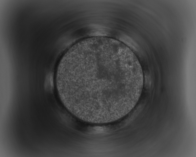 X0000100340302200806191030