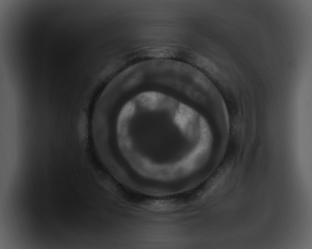 X0000100340303200806191030