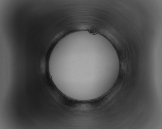 X0000100340304200806191030