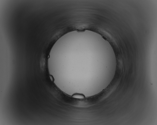 X0000100340308200806191030