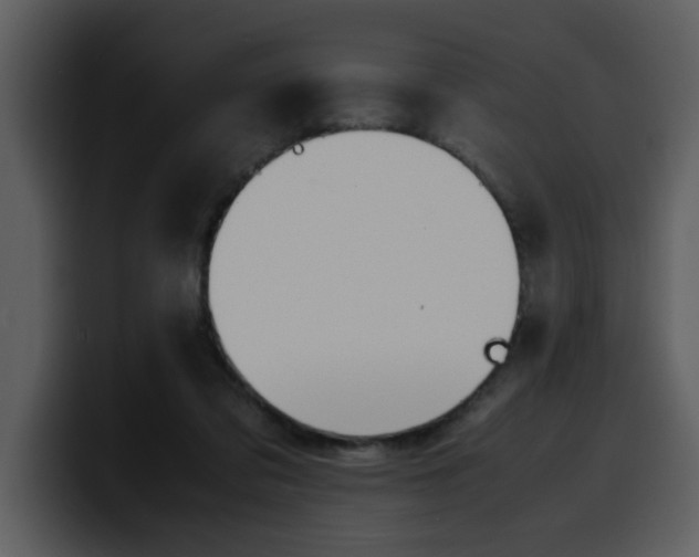 X0000100340309200806191030